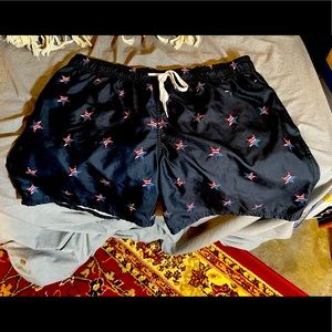 CITY STREETS AMERICAN FLAGS SWIM TRUNKS SHORTS
